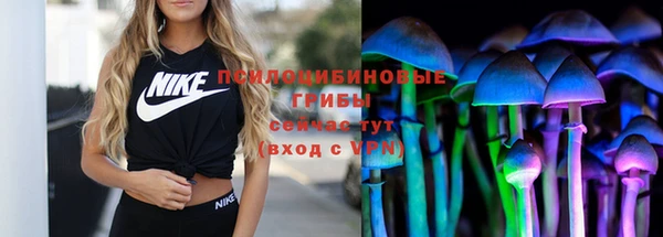 твердый Богородицк