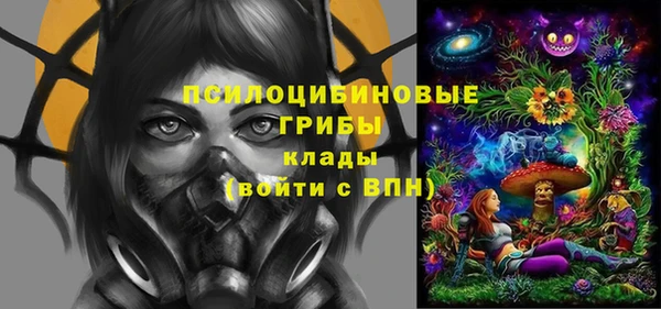 кокс Бородино