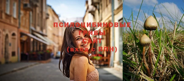 твердый Богородицк