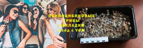твердый Богородицк