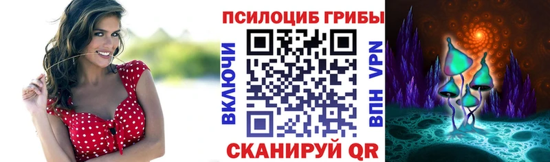 Галлюциногенные грибы мухоморы  Лодейное Поле 